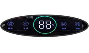 Custom Elliptical Display